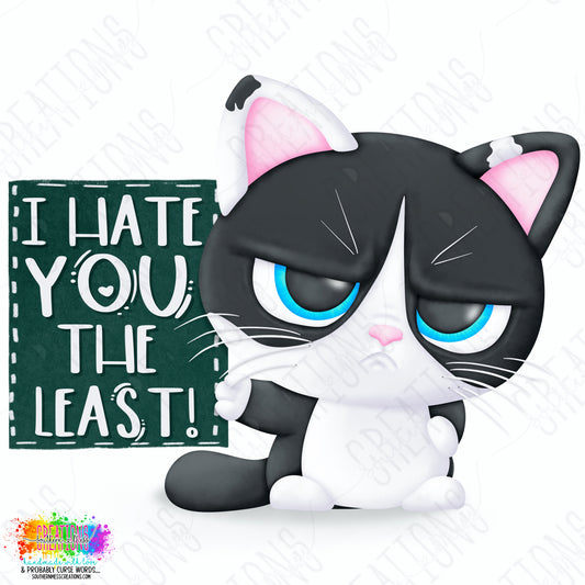 I Hate You the Least