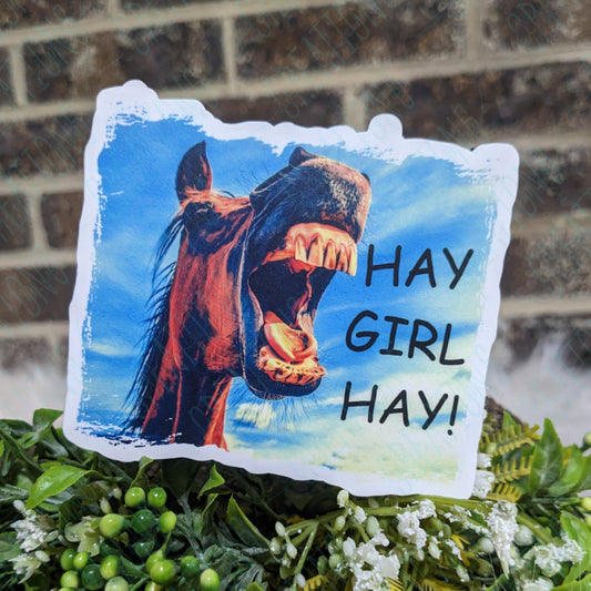 Hay Girl Hay