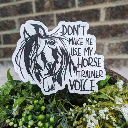 Don't Make Me Use My Horse Trainer Voice