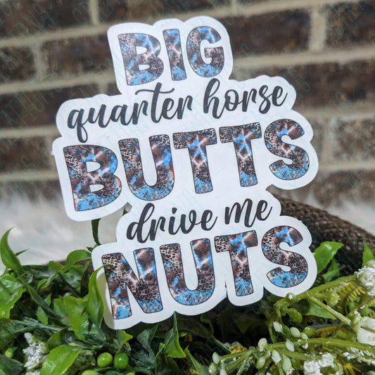 Big Quarter Horse Butts Drive Me Nuts