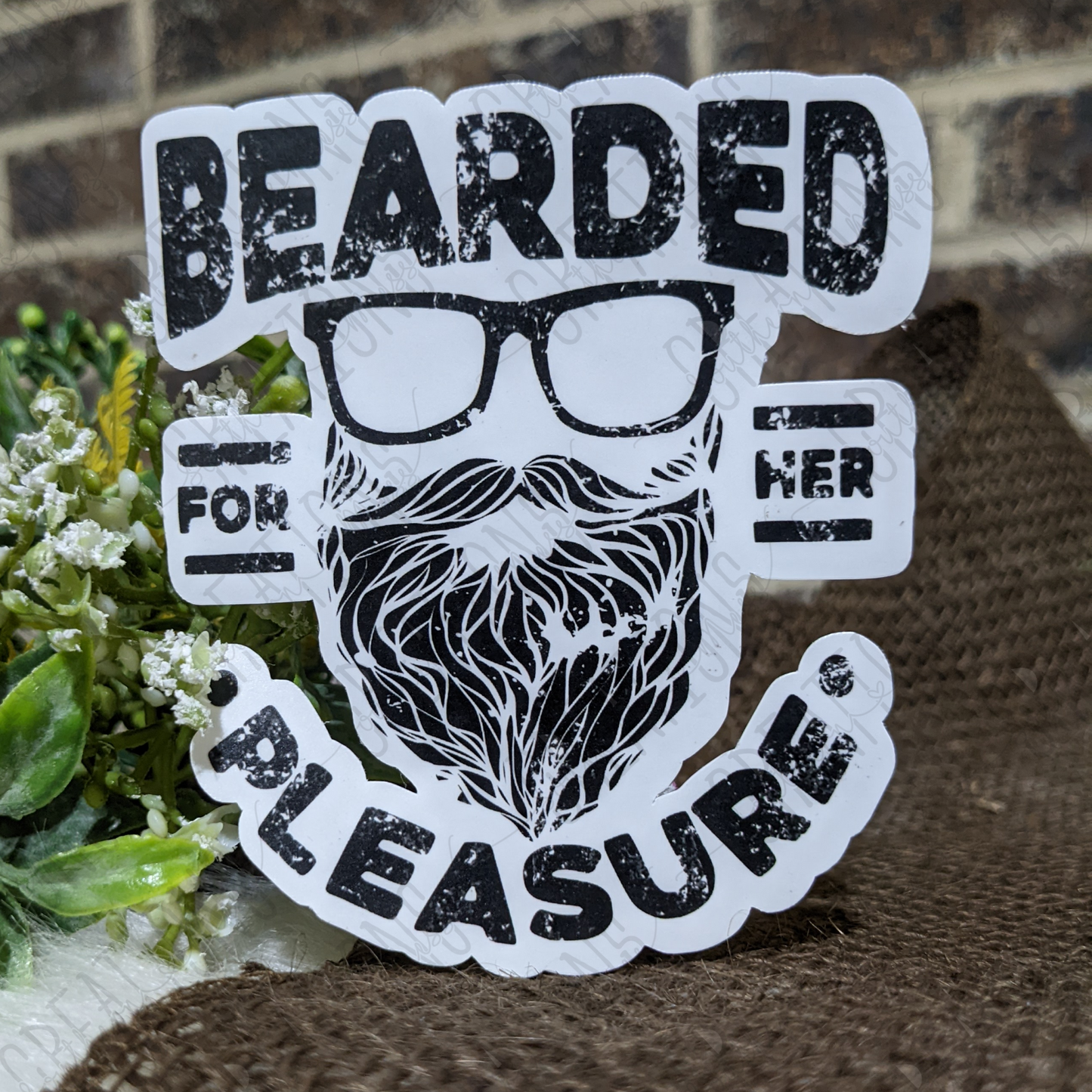 Bearded For Her Pleasure