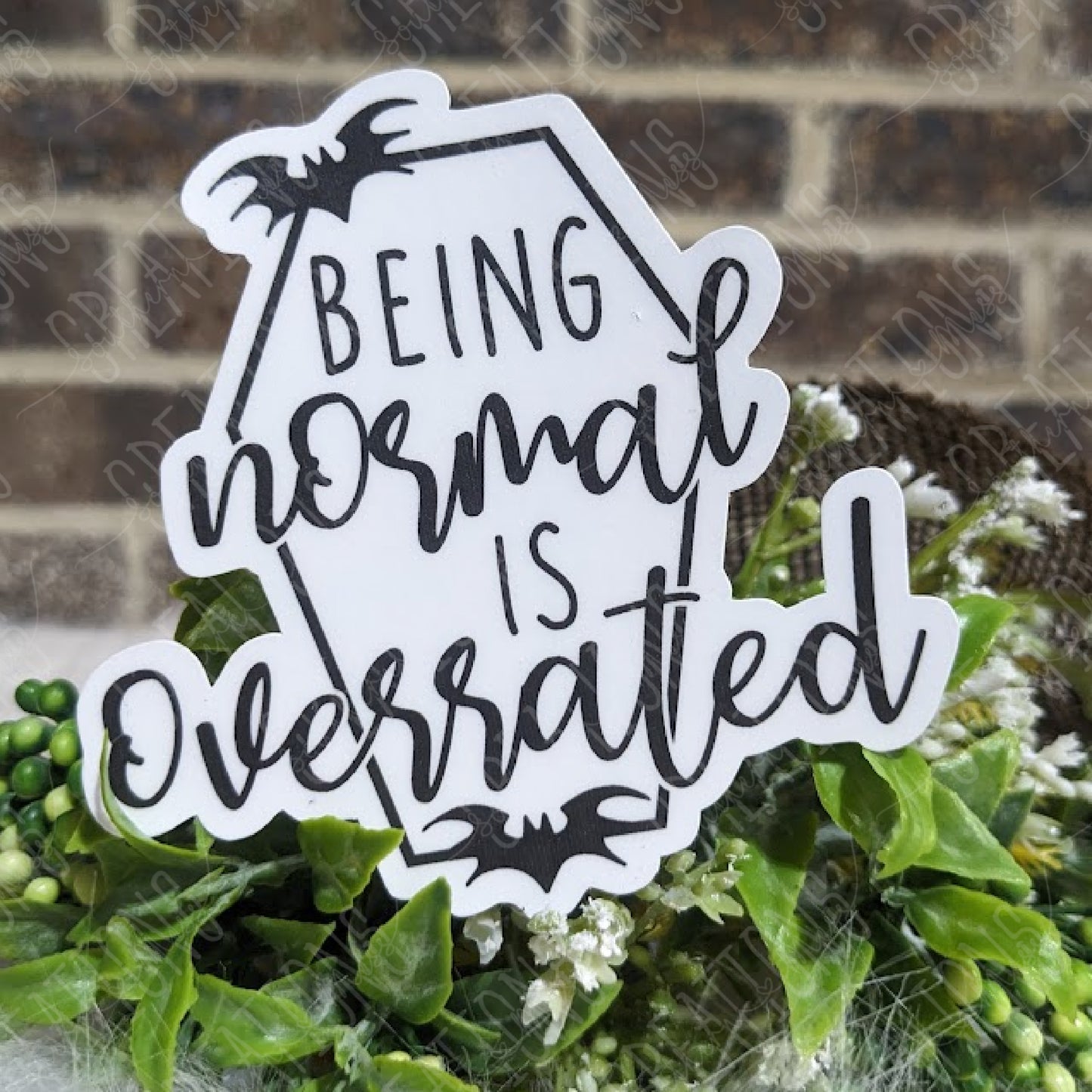 Being Normal Is Overrated