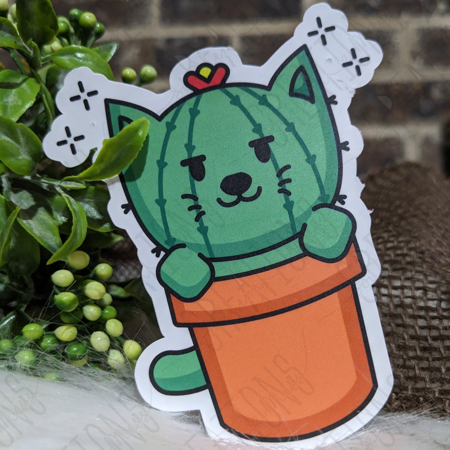 Catcus