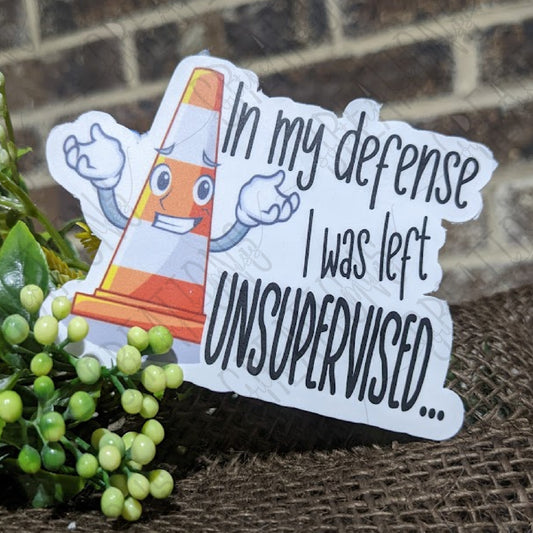 In My Defense I Was Left Unsupervised