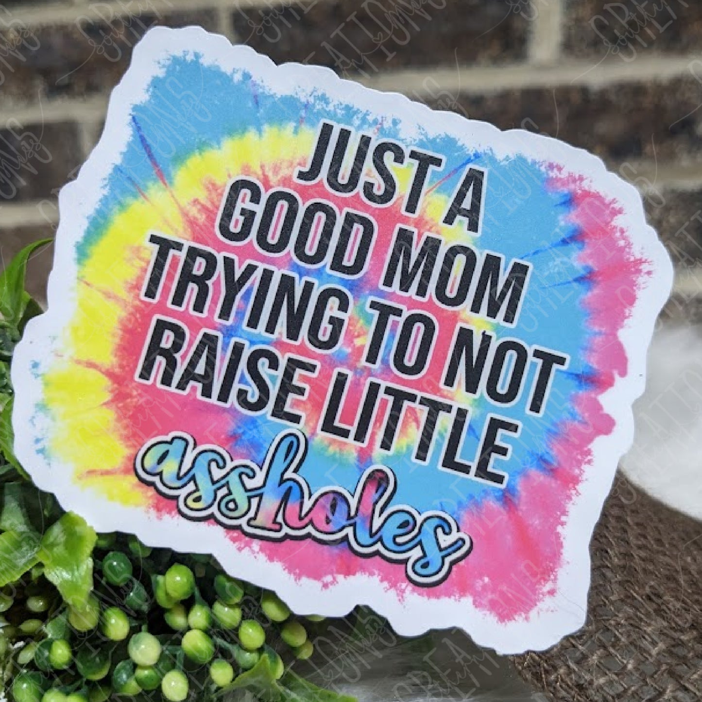 Just a Good Mom Trying Not To Raise Little Assholes