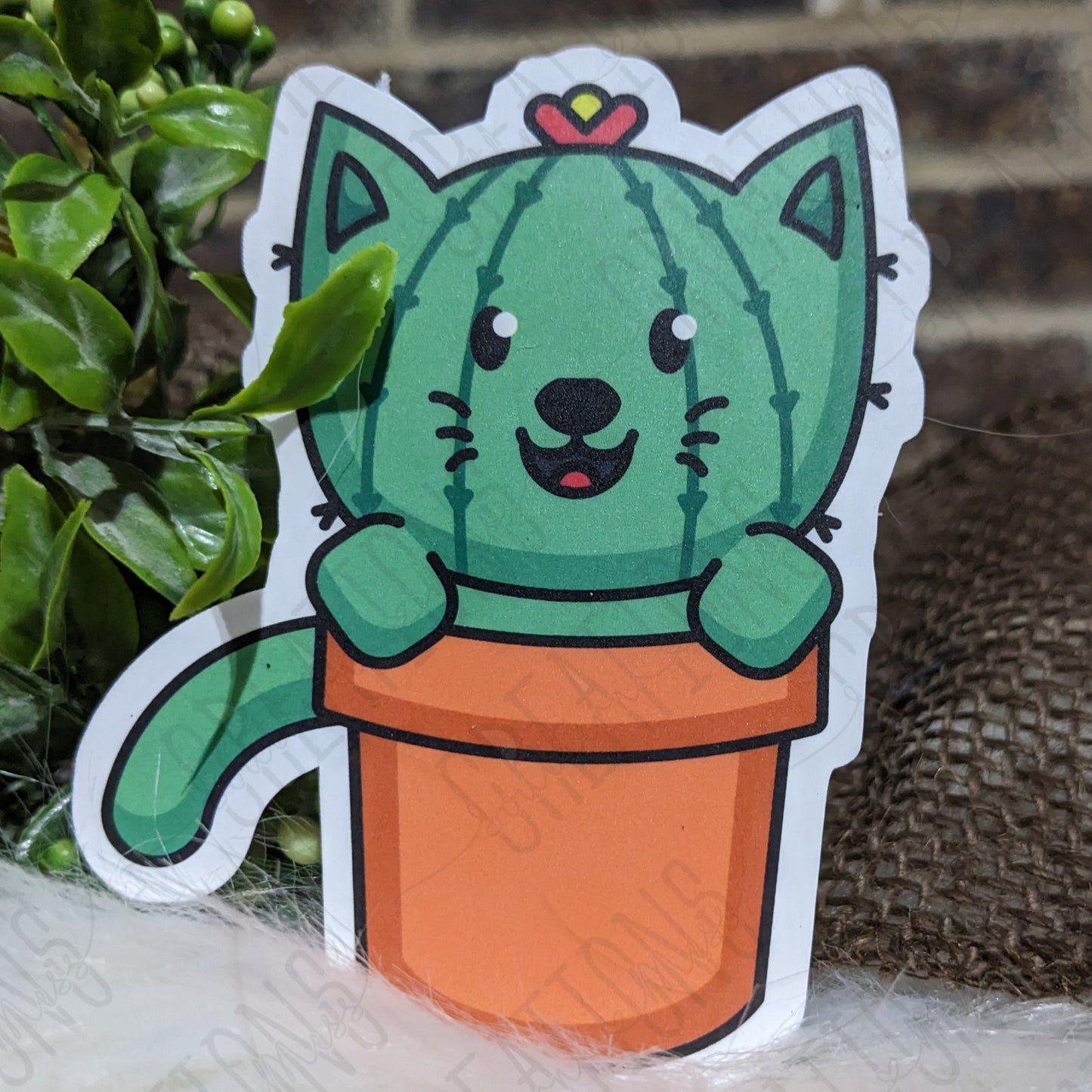 Happy Catcus