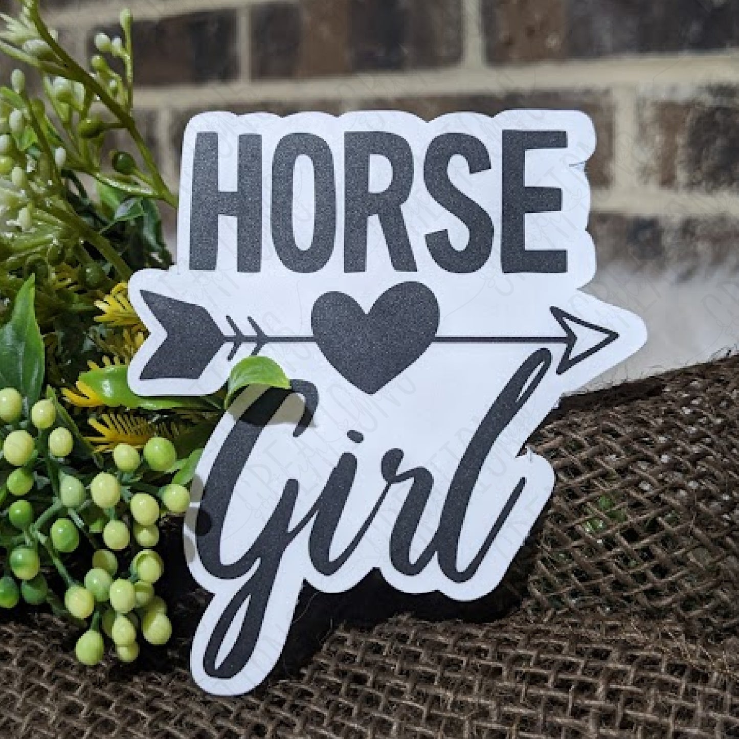 Horse Girl