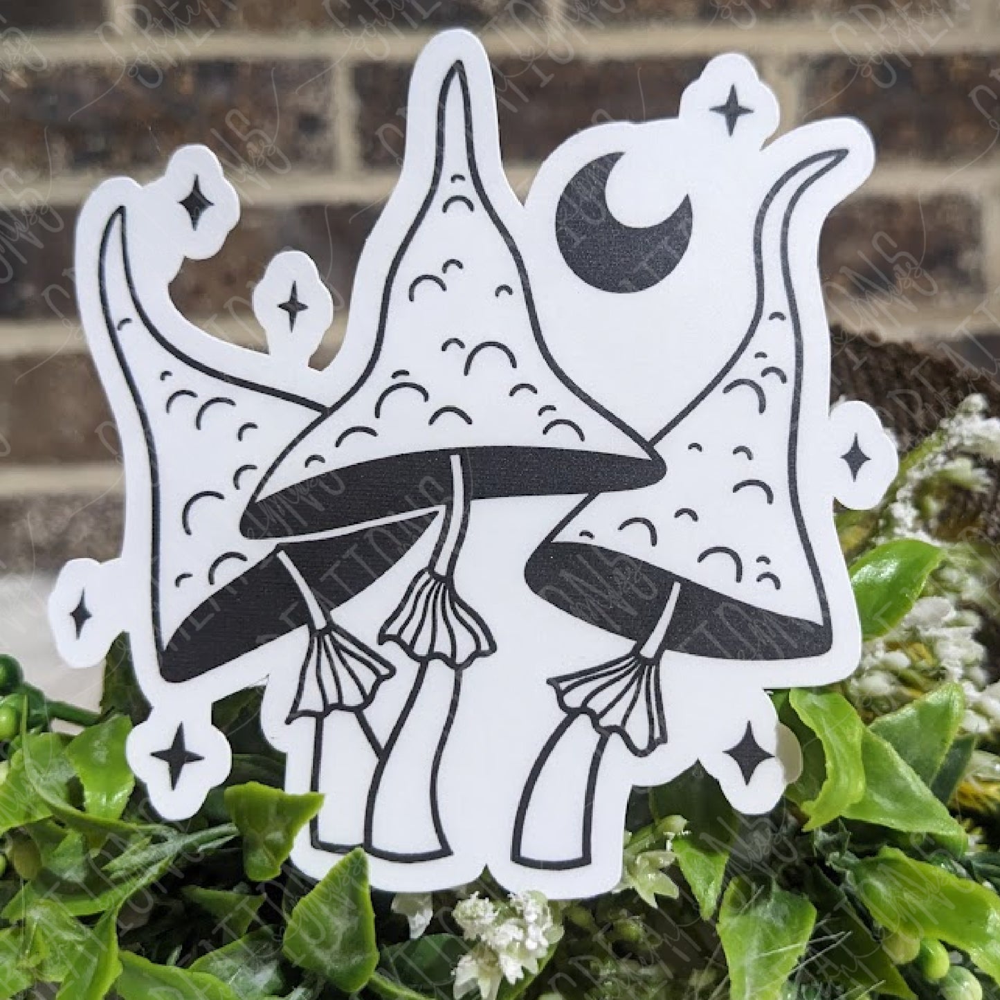 Mushrooms & Moons 2