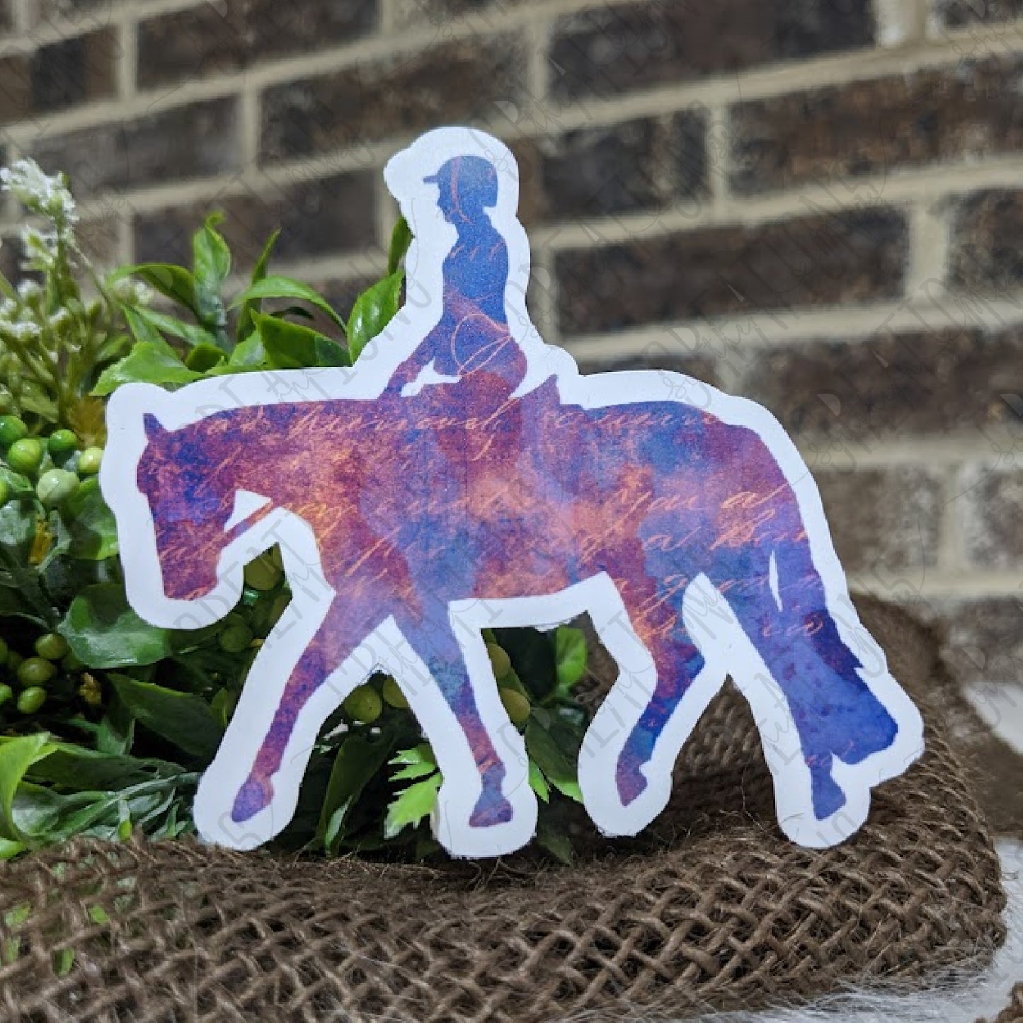 English Rider: Hunt Seat Equitation