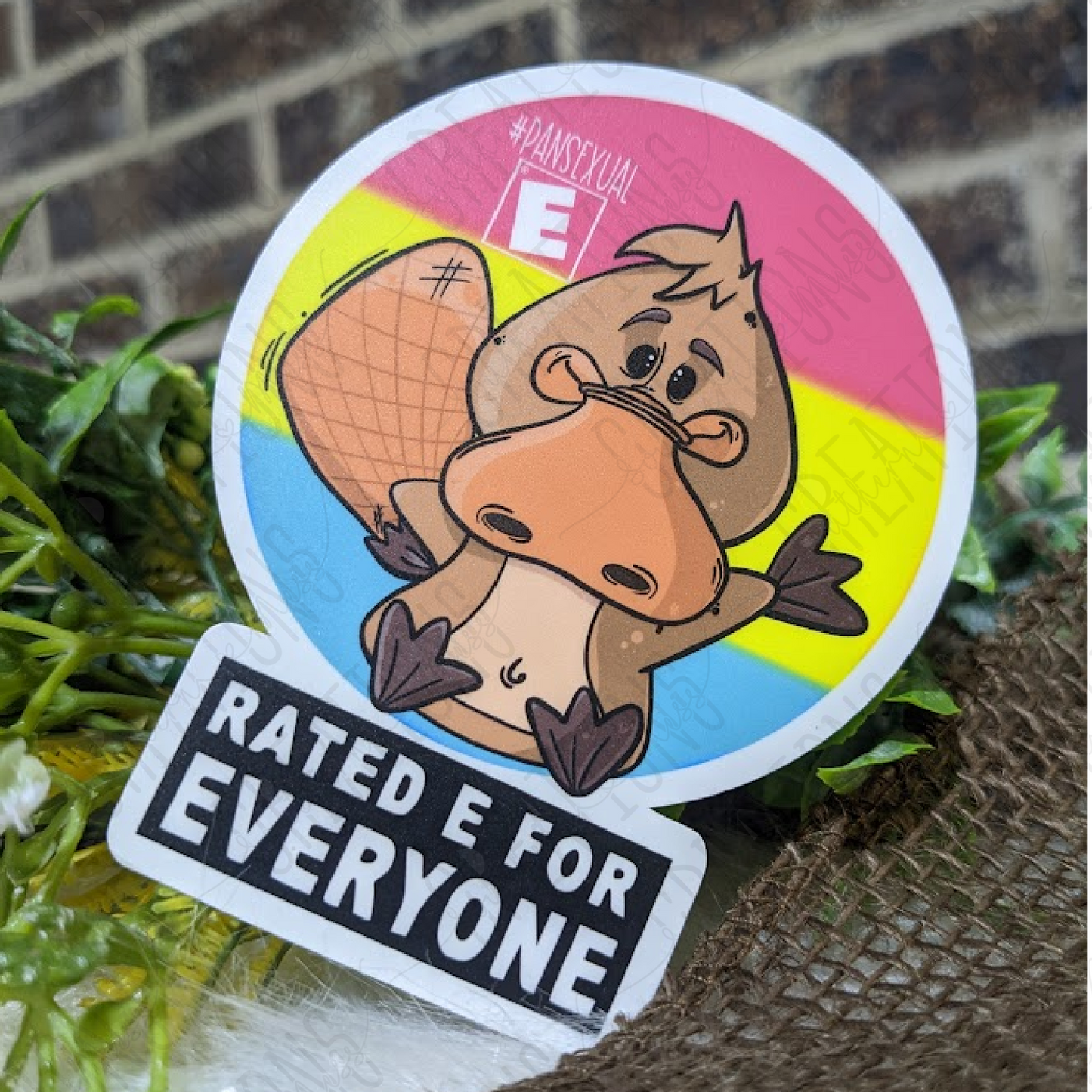 Pansexual: Rated E For Everyone