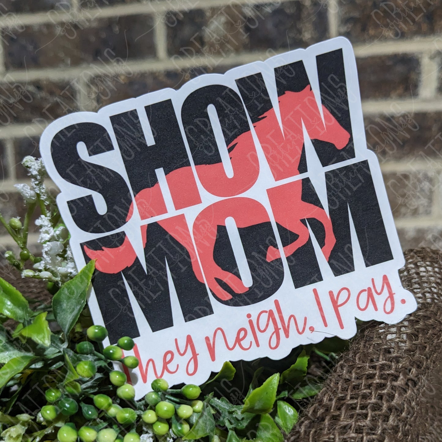 Show Mom, They Neigh I Pay