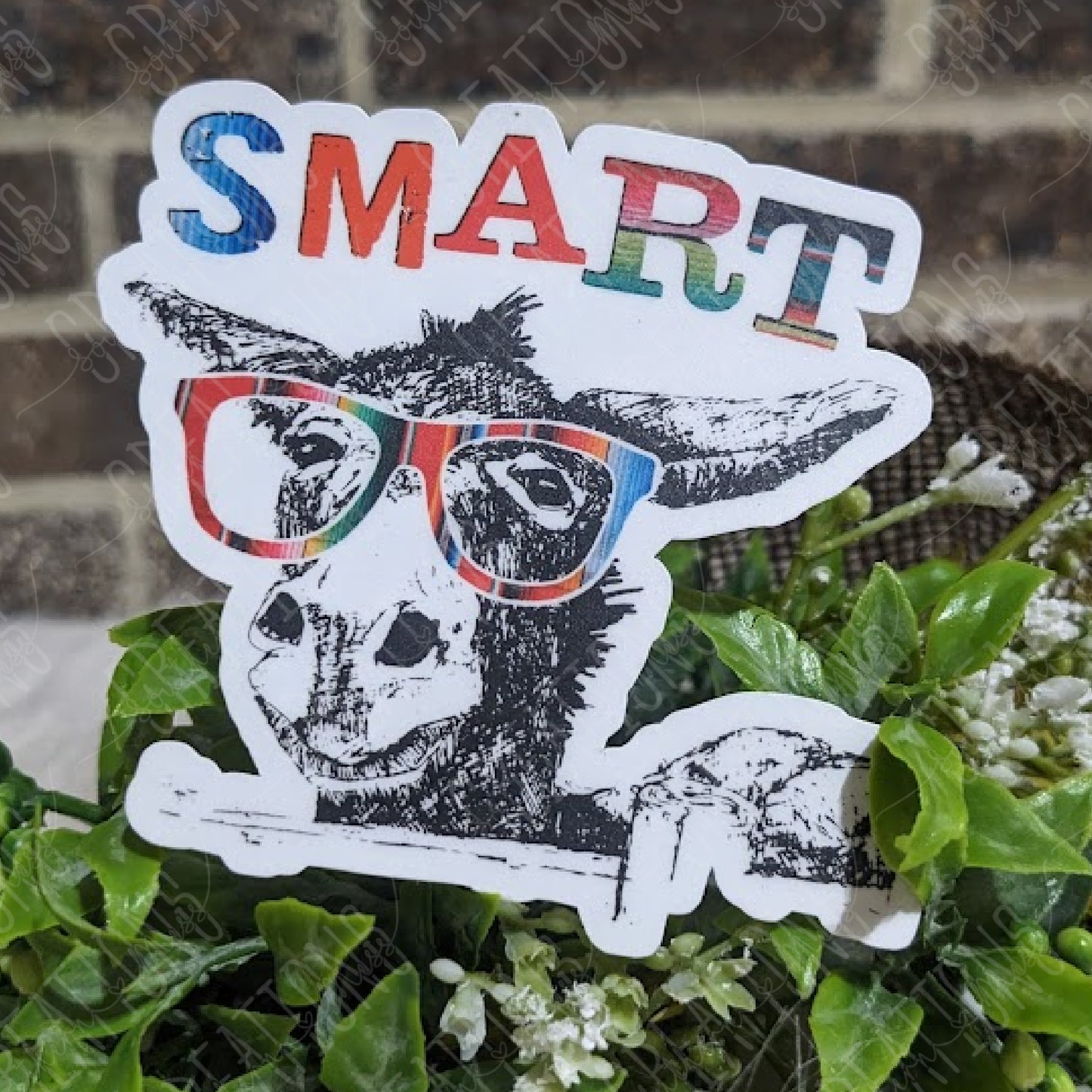 Smart Ass (censored)