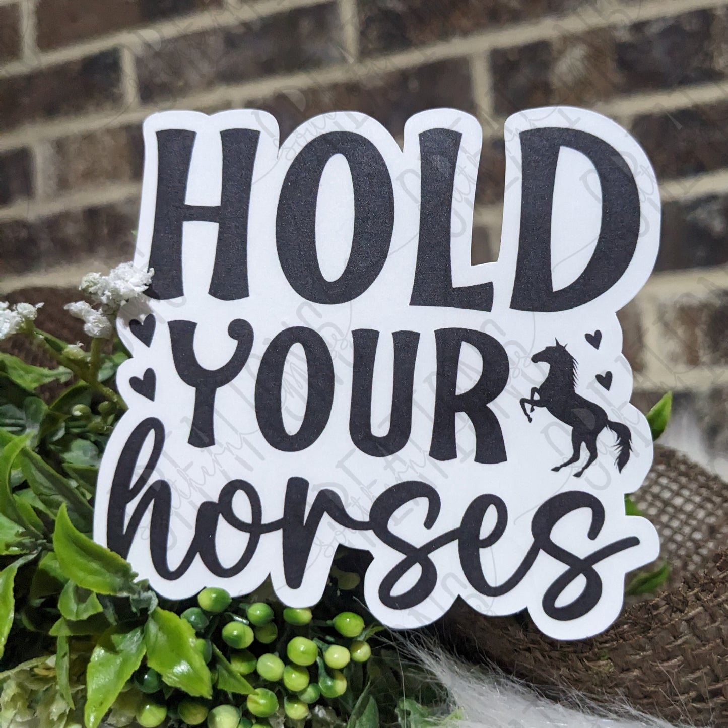 Hold Your Horses