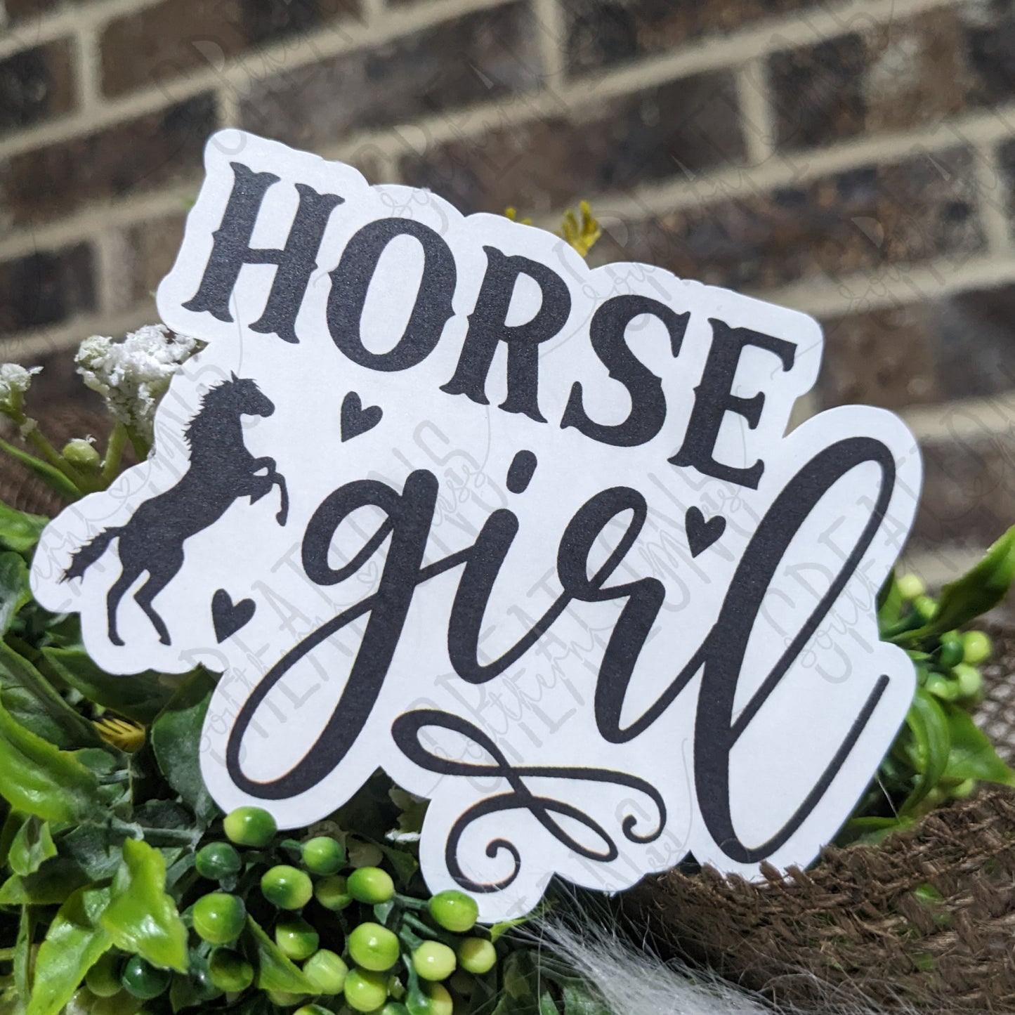 Horse Girl