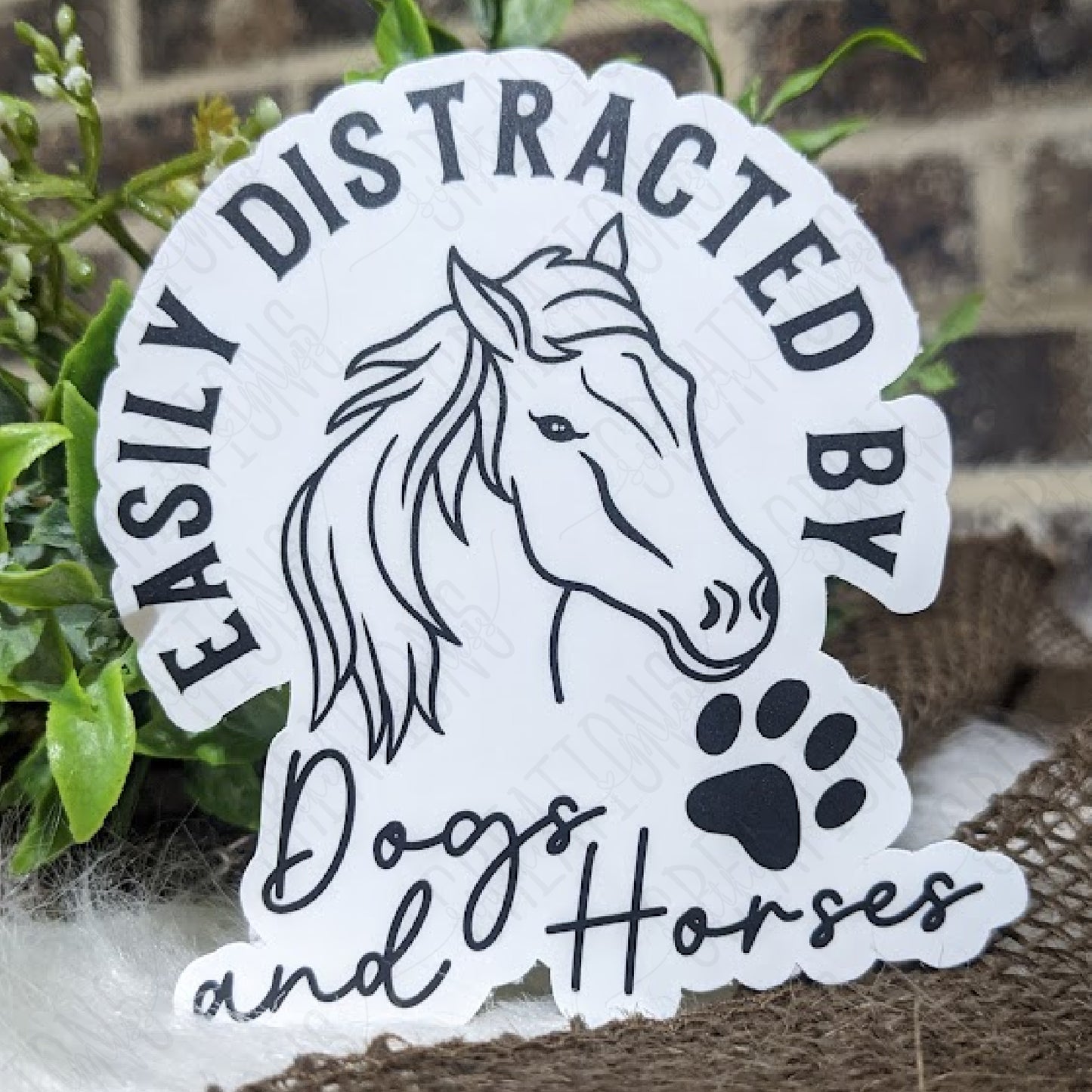 Easily Distracted By Dogs & Horses