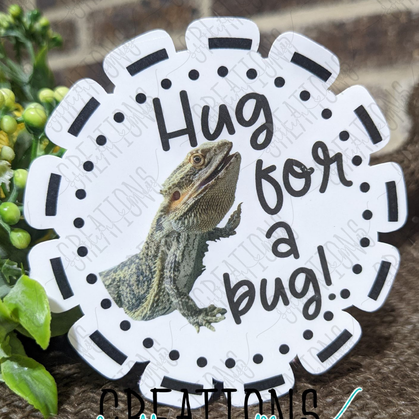Hug For A Bug