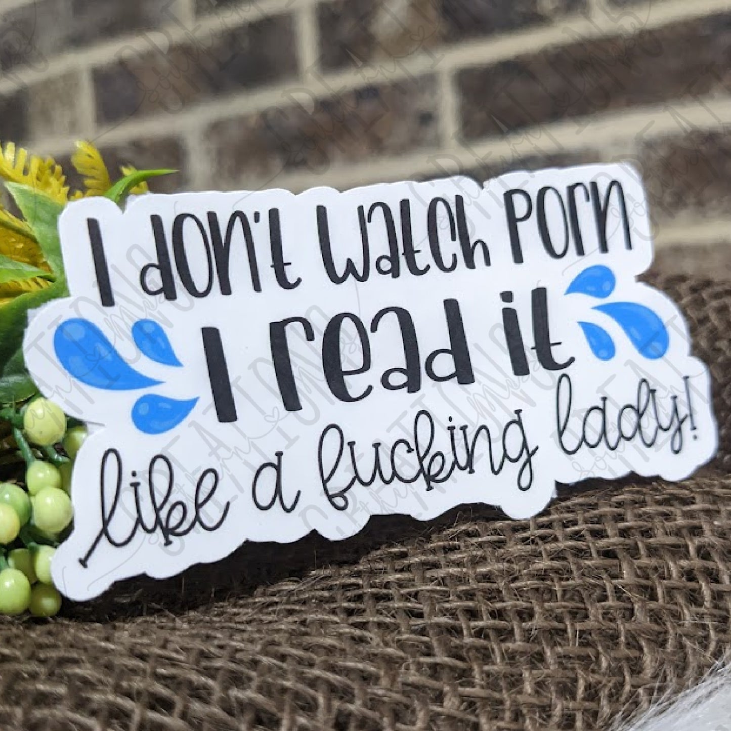 I Don't Watch Porn. I read it like a fucking lady!