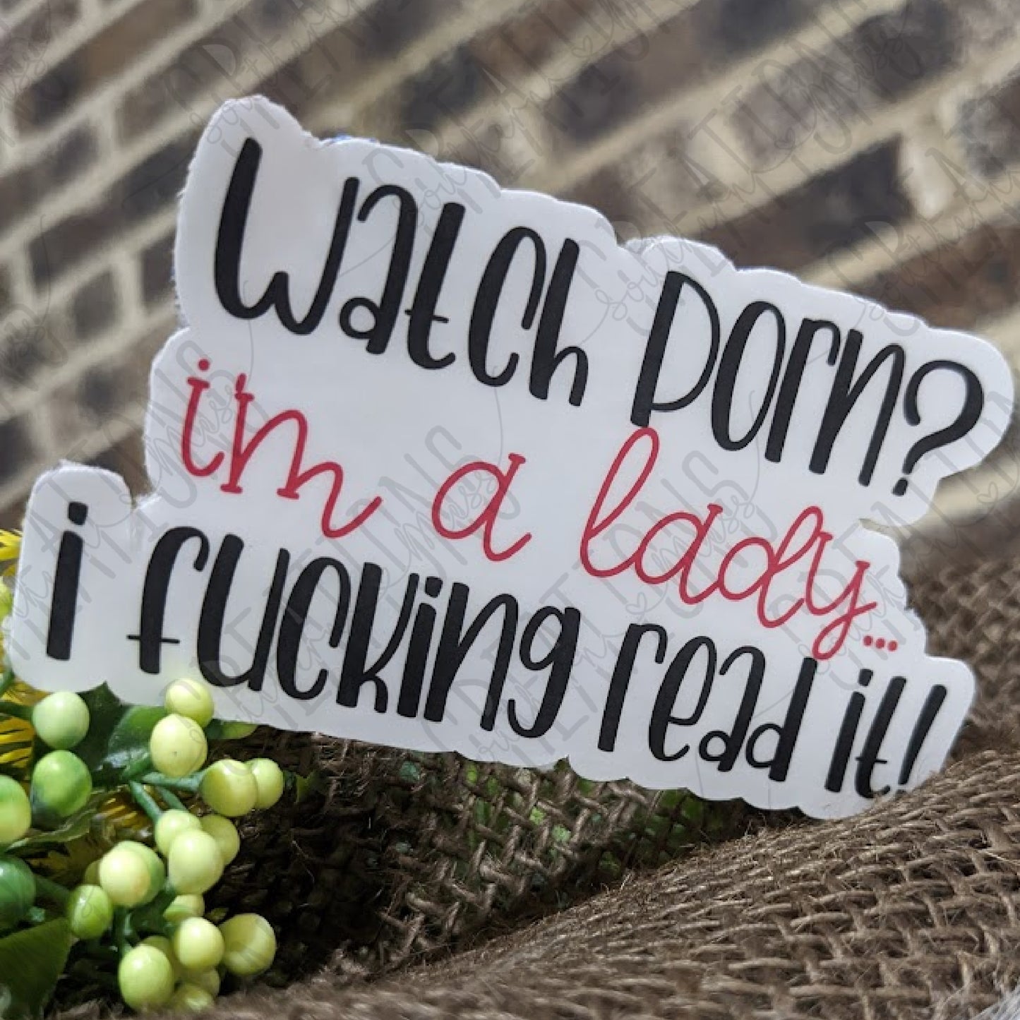 Watch Porn? I'm A Lady, I Fucking Read It!