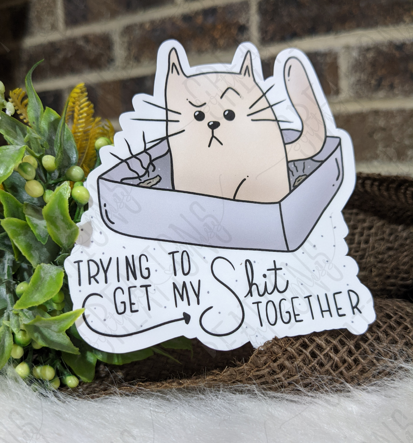 Trying to Get My Sh*t Together