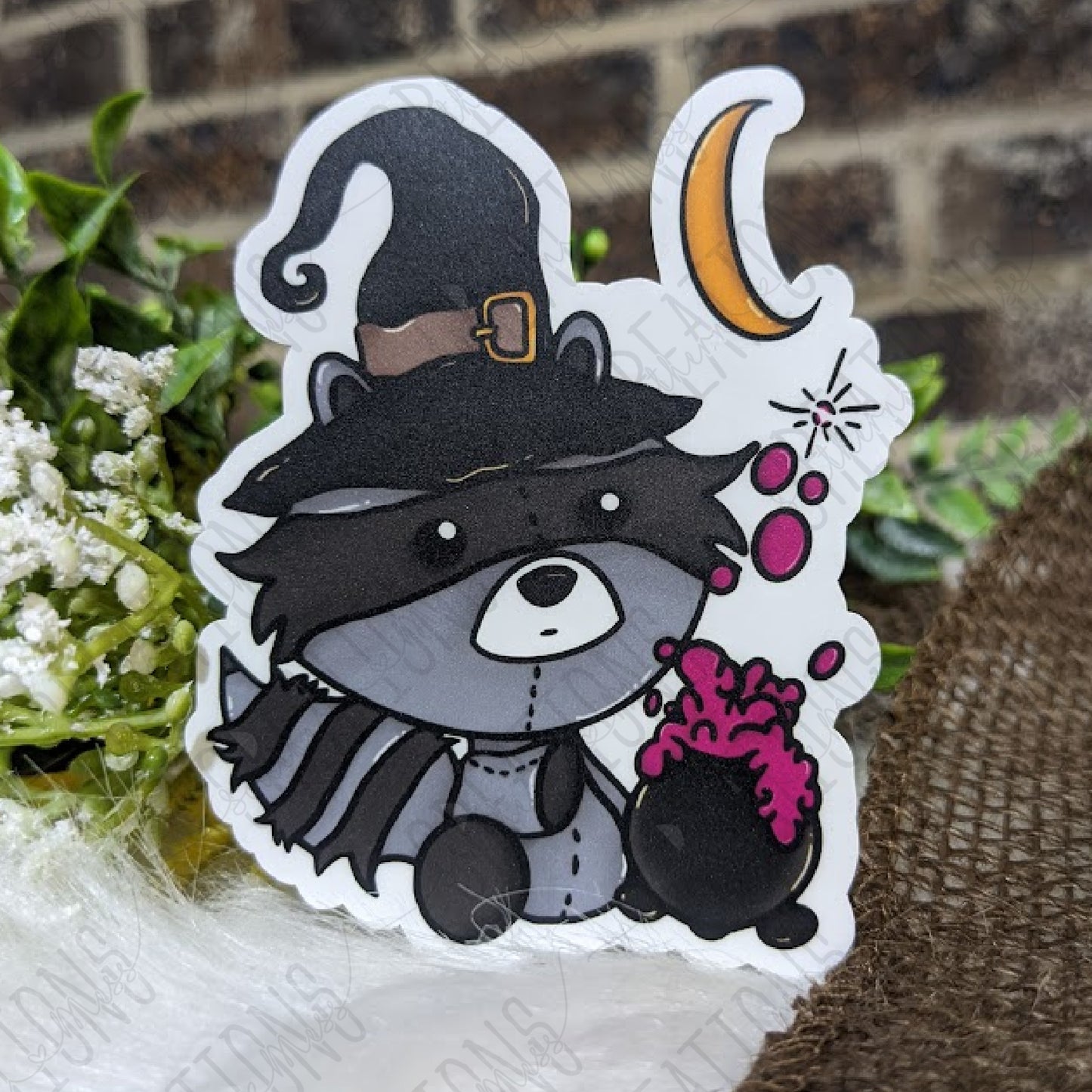 Witchy Coon