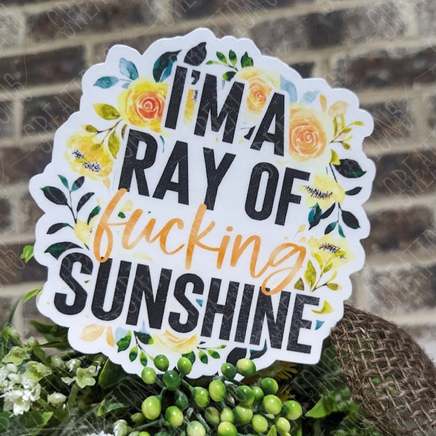 I'm A Ray Of Fucking Sunshine