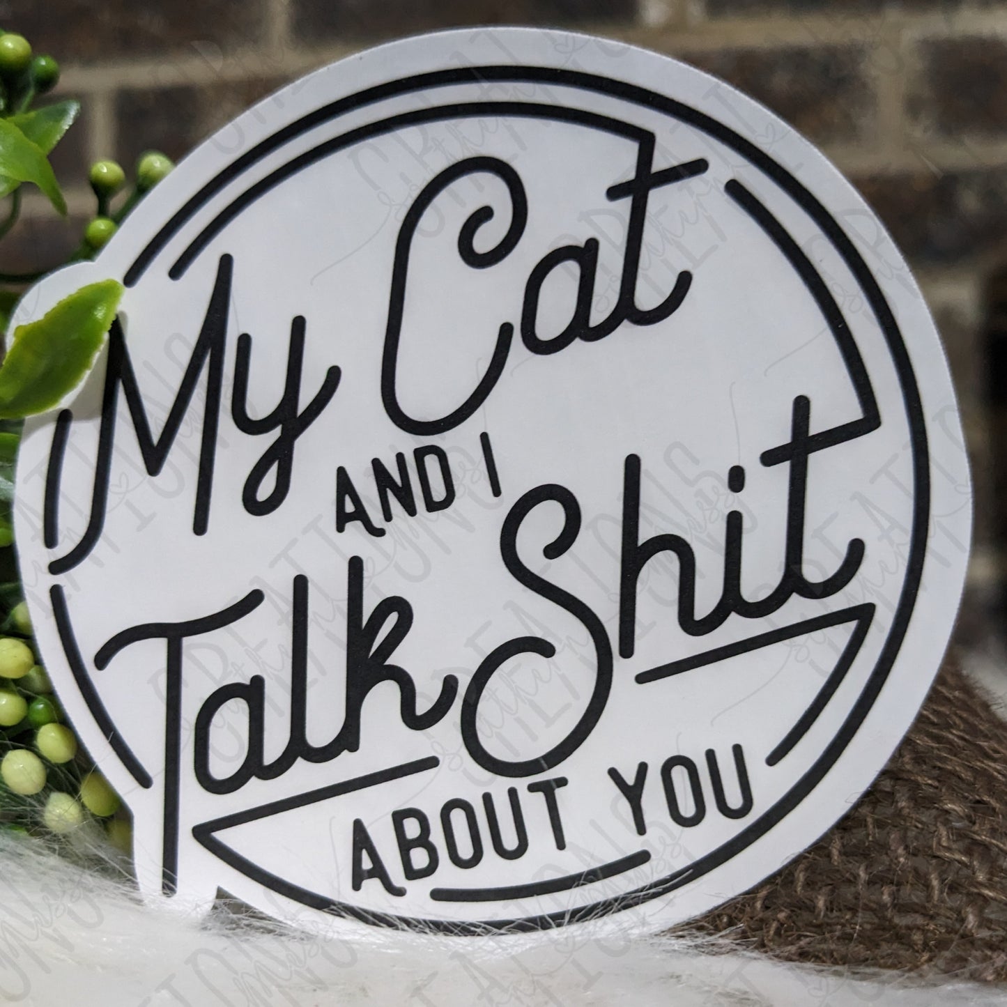 My Cat And I Talk Shit About You