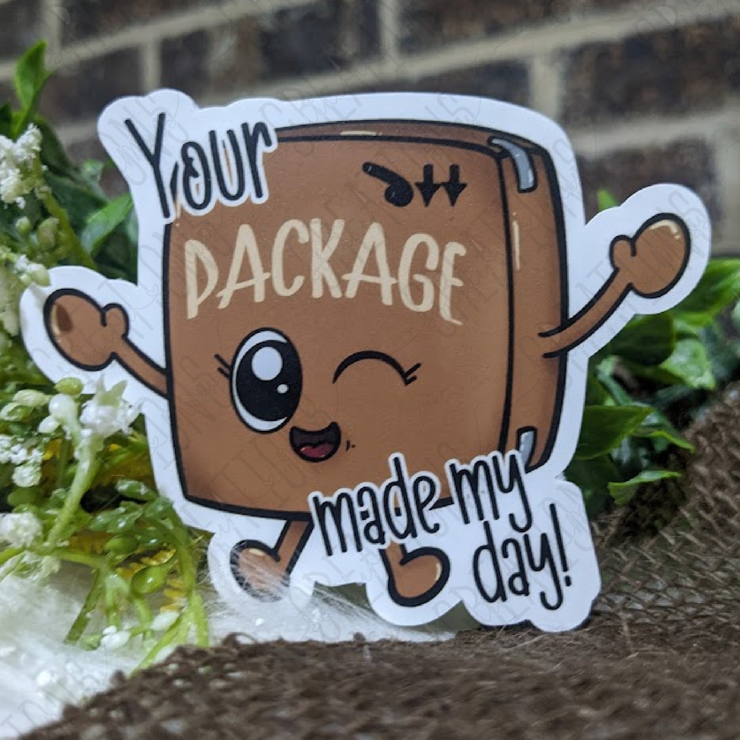 NSFW: Your Package Made My Day