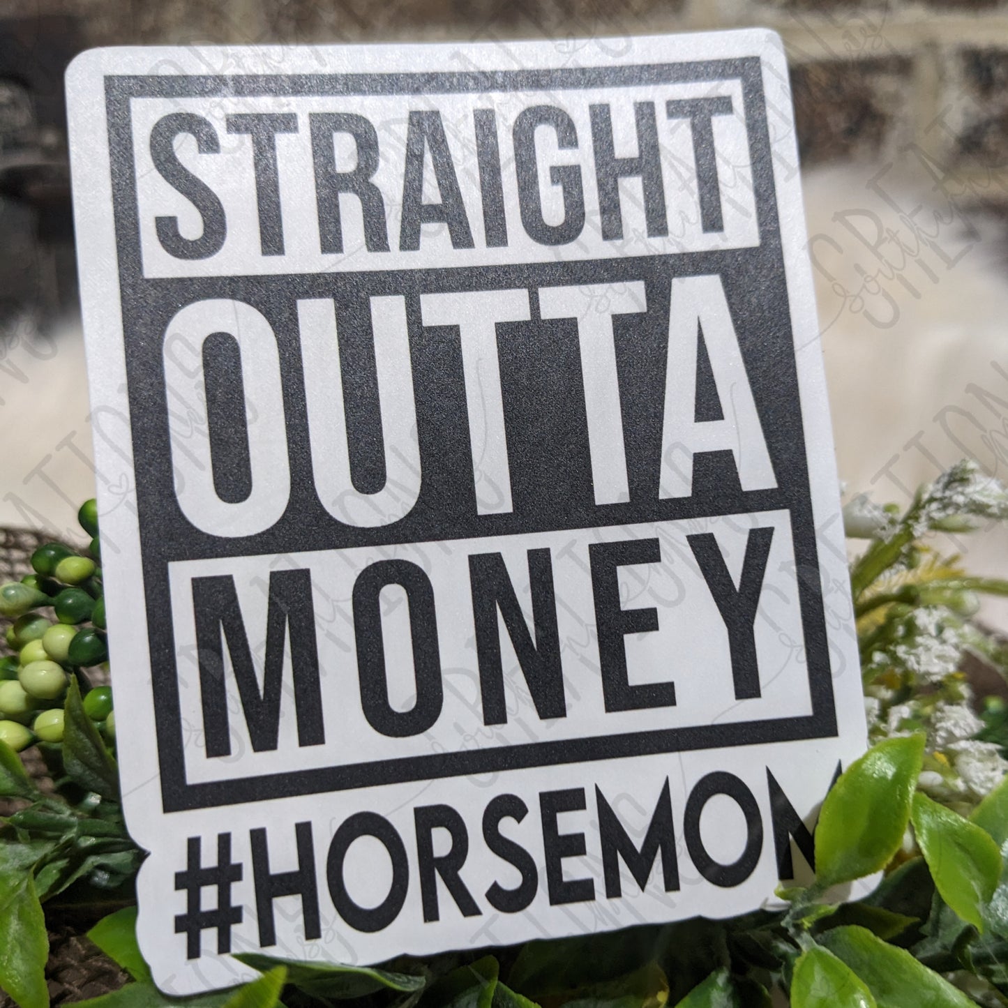 Straight Outta Money #HorseMom
