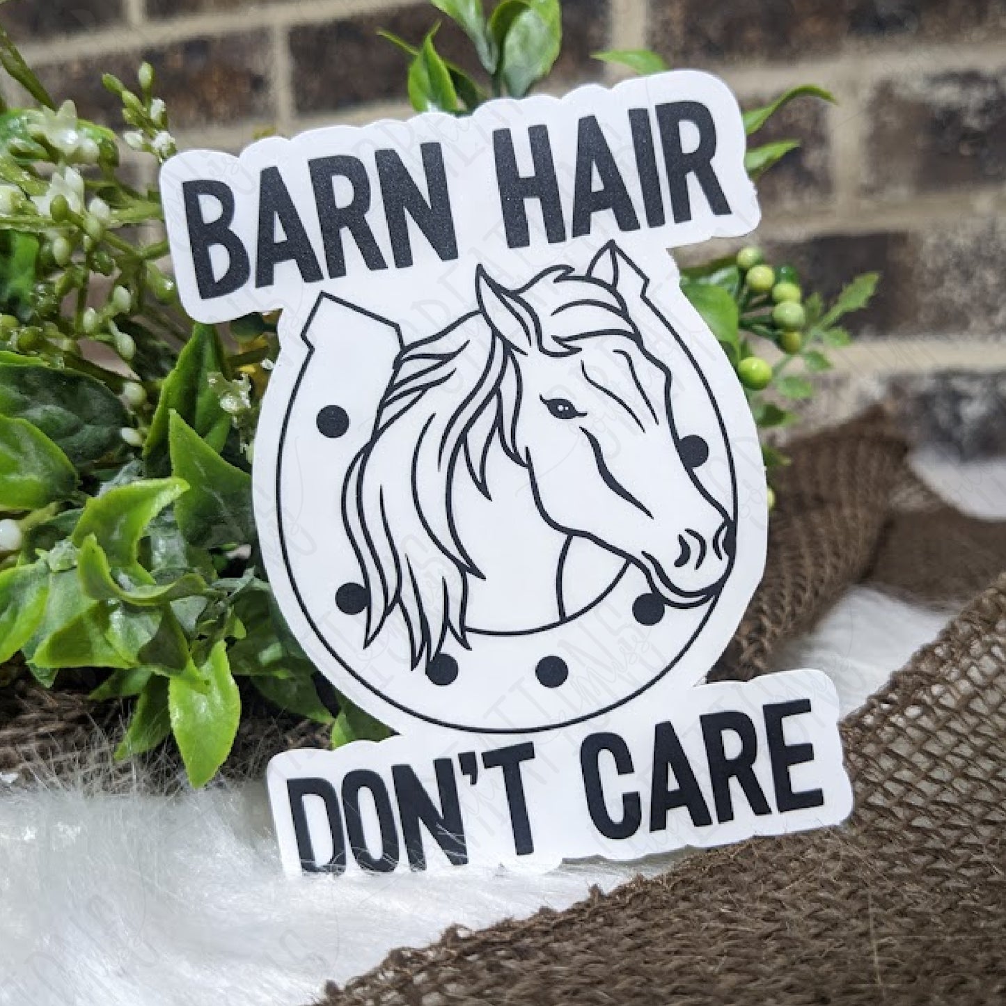 Barn Hair Don't Care