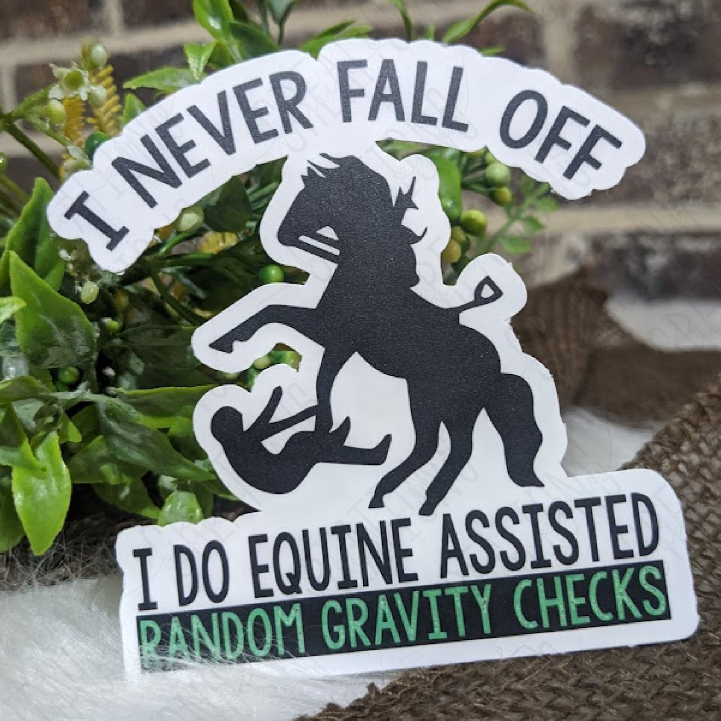 Equine Assisted Random Gravity Checks