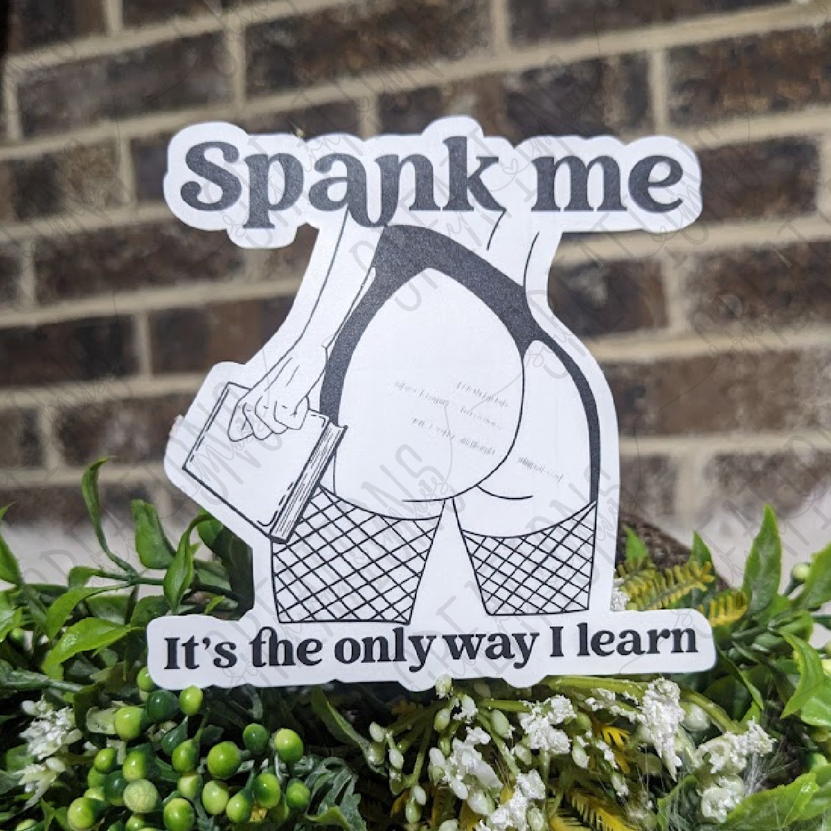 Spank Me - It's The Only Way I Learn